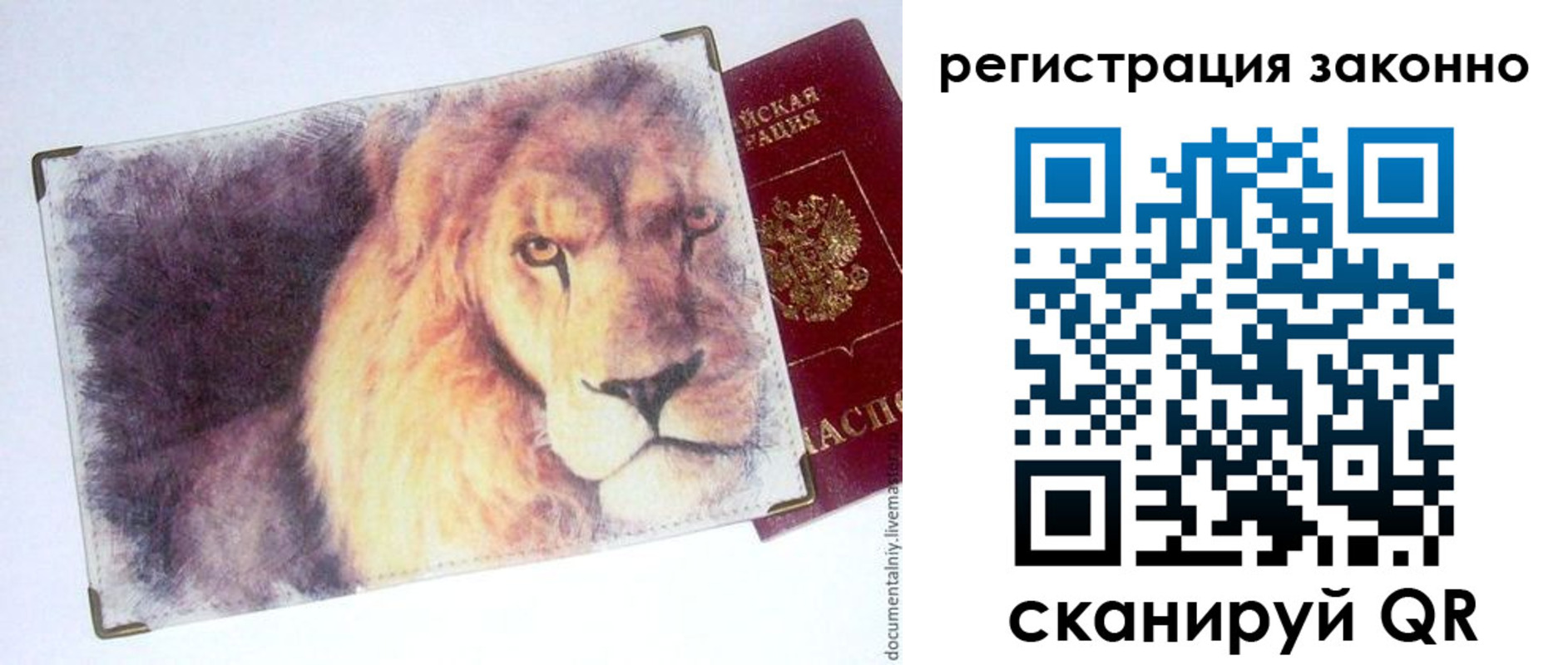 прописка гарантия в Шатуре
