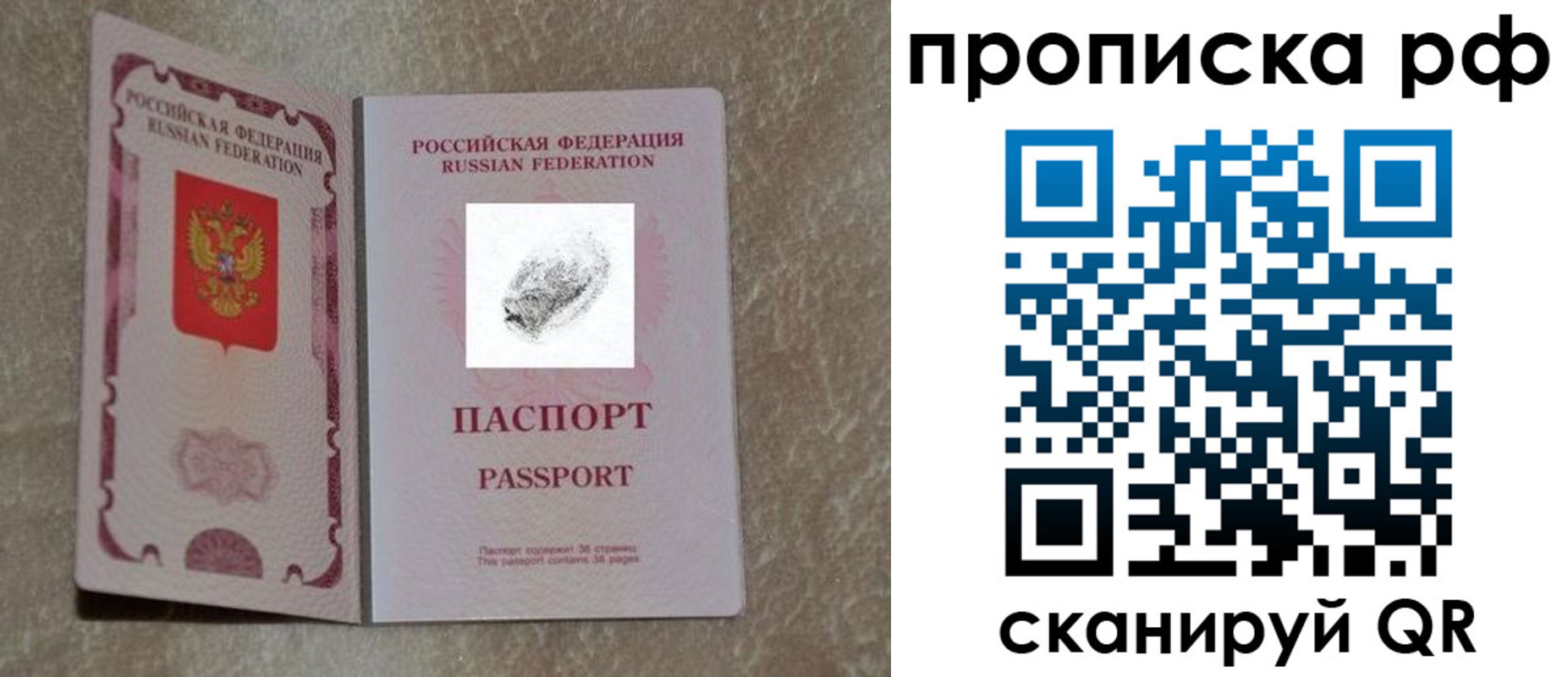 прописка поиск в Шатуре